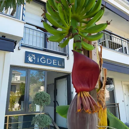 Igdeli Aparts Hotel de apartamente *